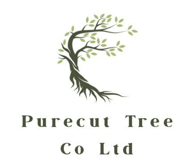 Purecut Tree Co Ltd logo featuring a stylized tree with green leaves forming a C.