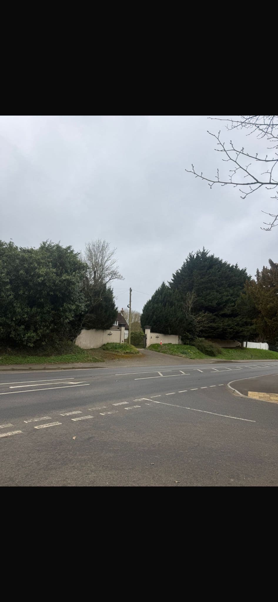 Road junction with a driveway entrance flanked by tall evergreen trees under an overcast sky.